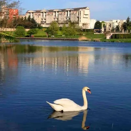 Tres Bel Appartement Entre Paris Et Disneyland Lognes Buitenkant foto