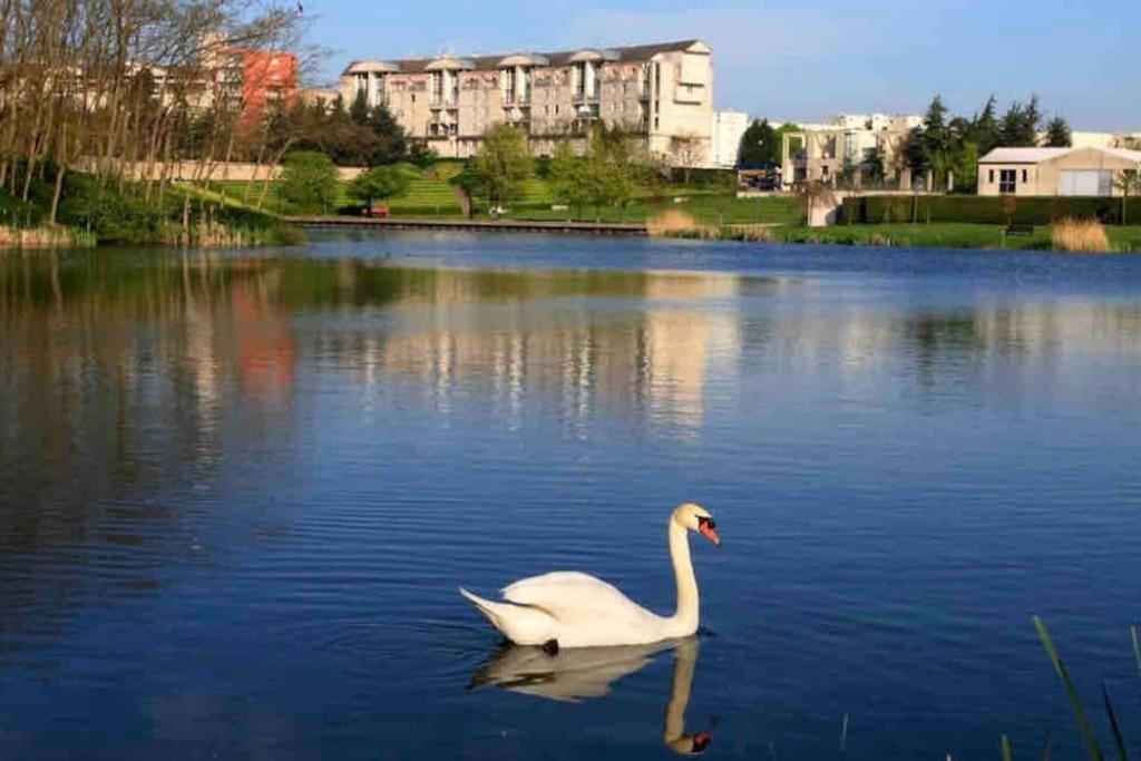 Apartment Tres Bel Entre Paris Et Disneyland Lognes